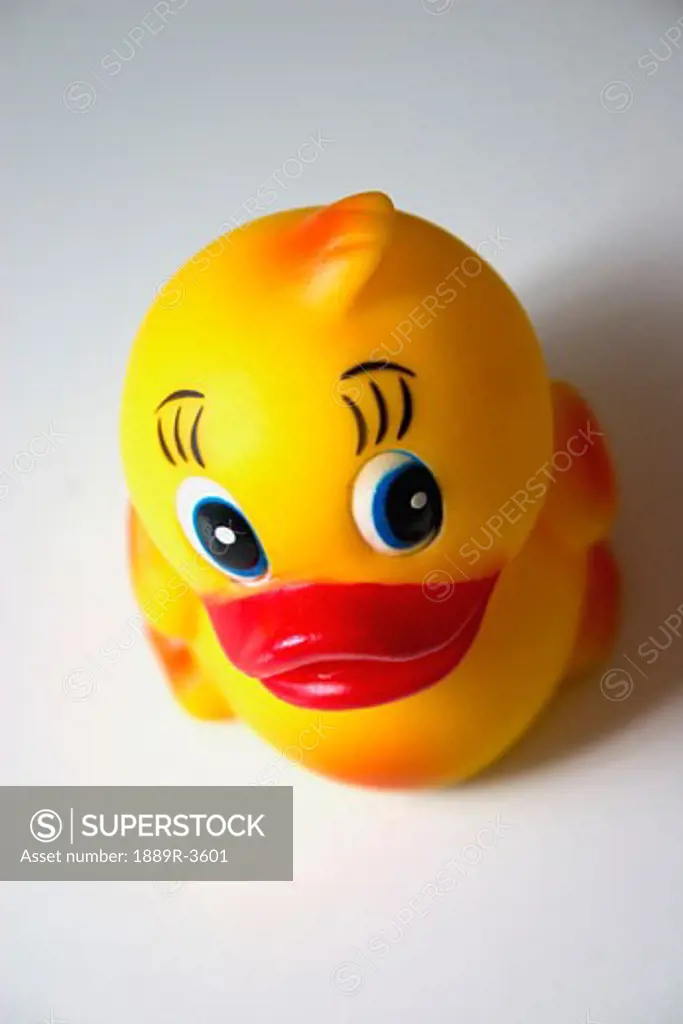 close up of a rubber duck