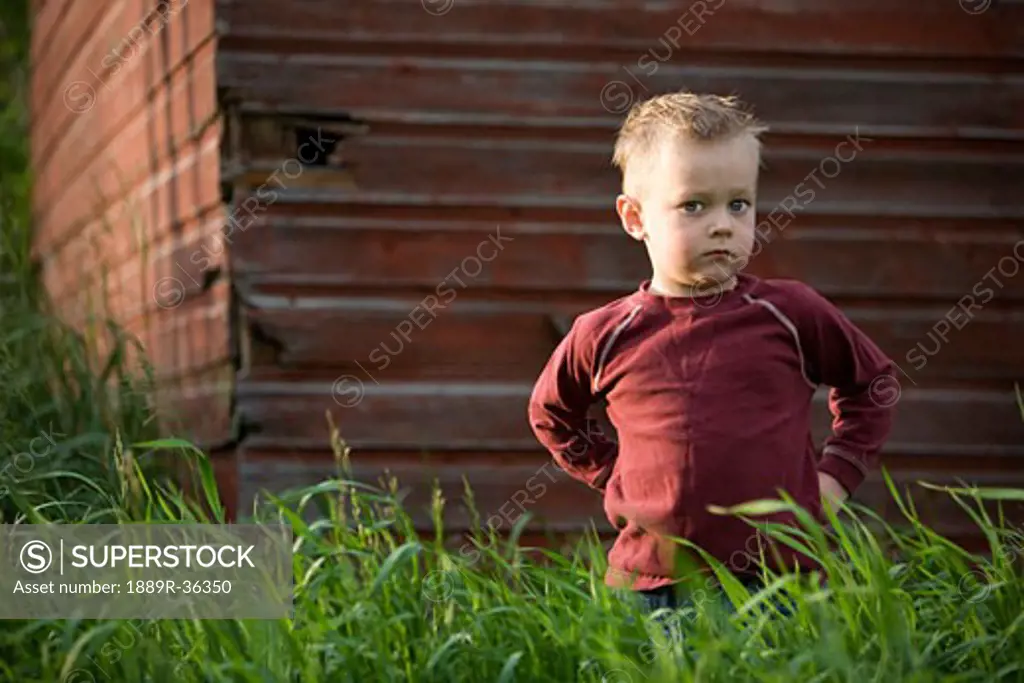 A young boy in a grassy field