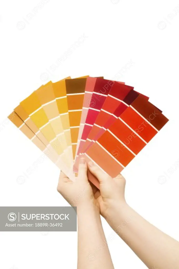 Person holding color swatches against white background