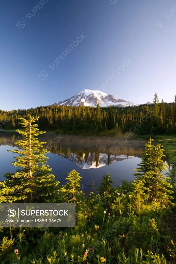 Lake and Mount Rainier, Mount Rainier National Park, Washington State, USA