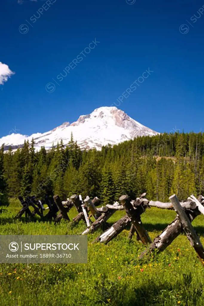 Mount Hood, Oregon Cascades, Oregon, USA