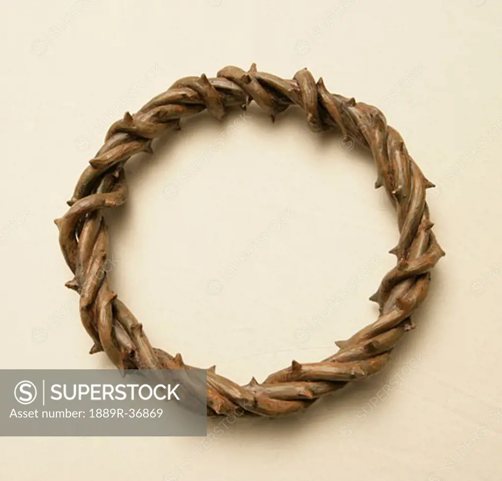 Thorns arranged in circular shape