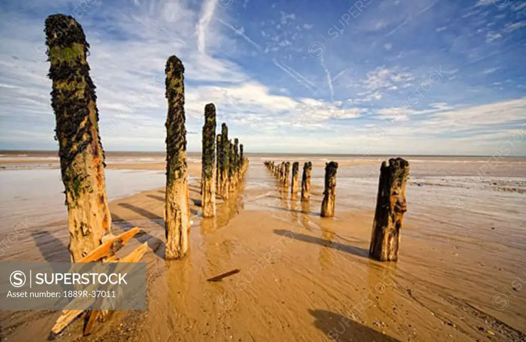 Wooden posts in shallow water, Humberside, England