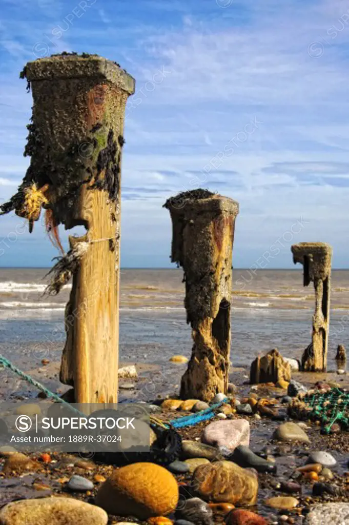 Remnants of mooring posts, Humberside, England