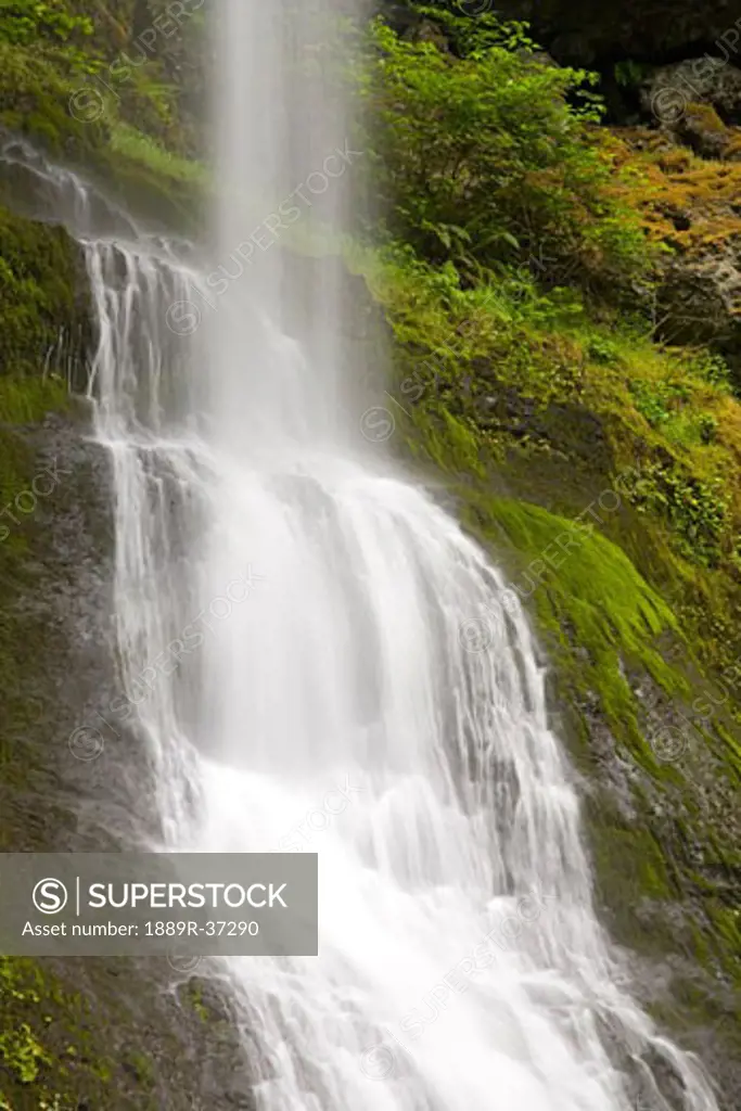 Winter Falls, Silver Falls State Park, Oregon, USA