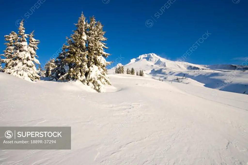 Winter at Mount Hood, Cascade Mountains, Oregon, USA
