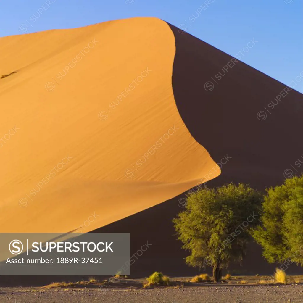 Sand dune, Namibia, Africa