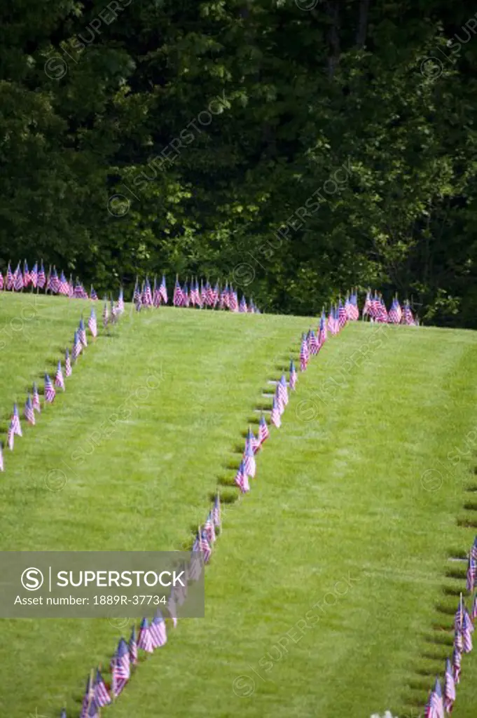 American Flags In A Graveyard During Memorial Day, Oregon, USA