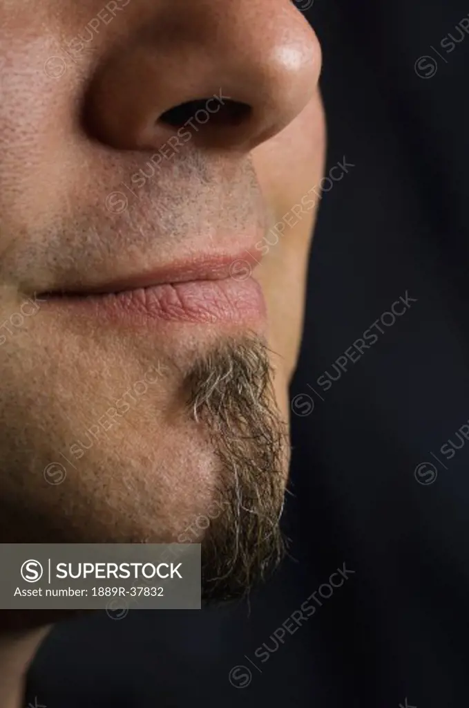 Close Up Of Facial Details