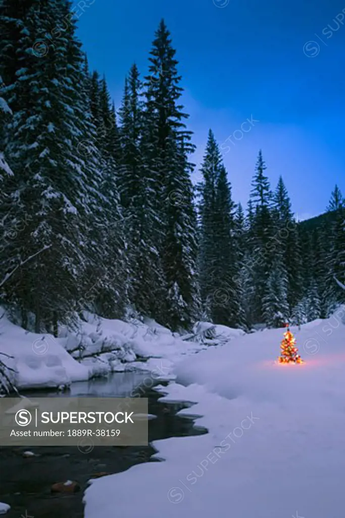 Glowing Christmas tree by mountain stream