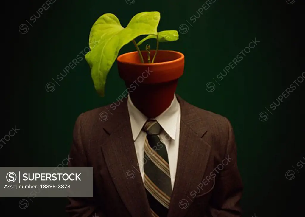 Plant on head of human body