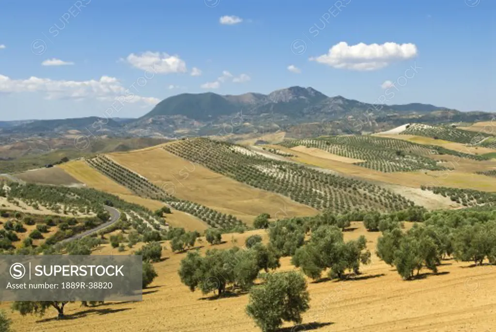 Countryside with the mountains of El Peñon, Seville, Andalucia, Spain  