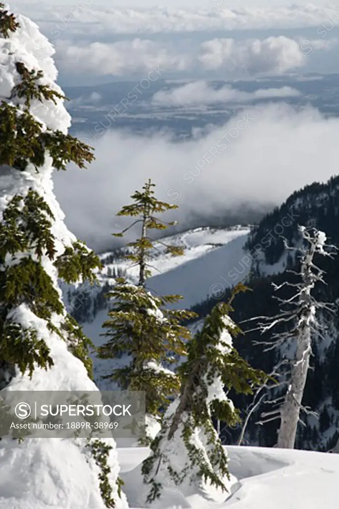 Mt. Washington Ski Resort, Vancouver Island, British Columbia, Canada  