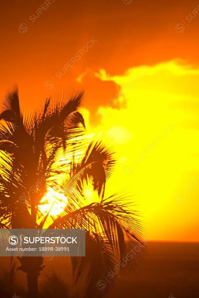 Sunset, Wailea, Maui, Hawaii, USA  