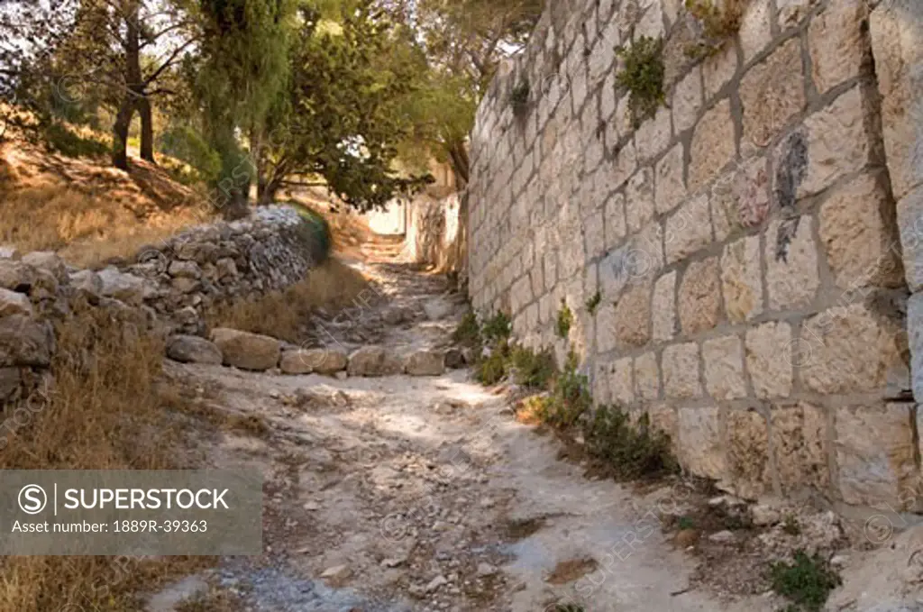 Pathway, Mount of Olives, Jerusalem, Israel