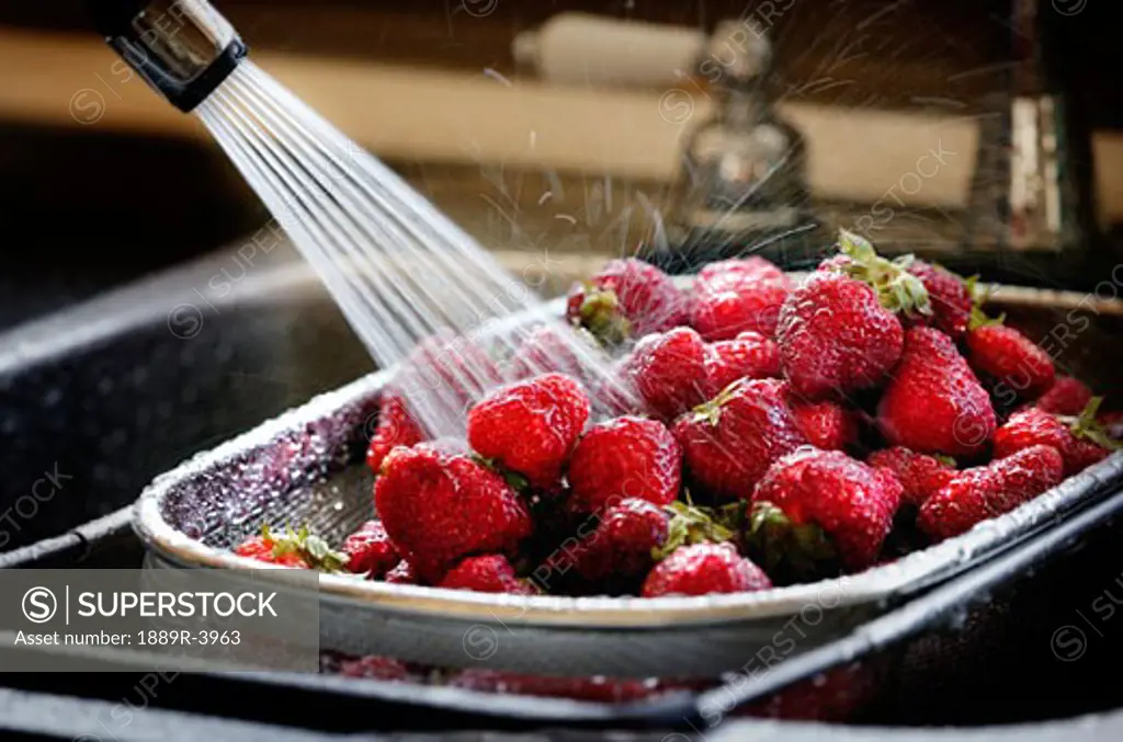 Strawberries being cleaned in a sink