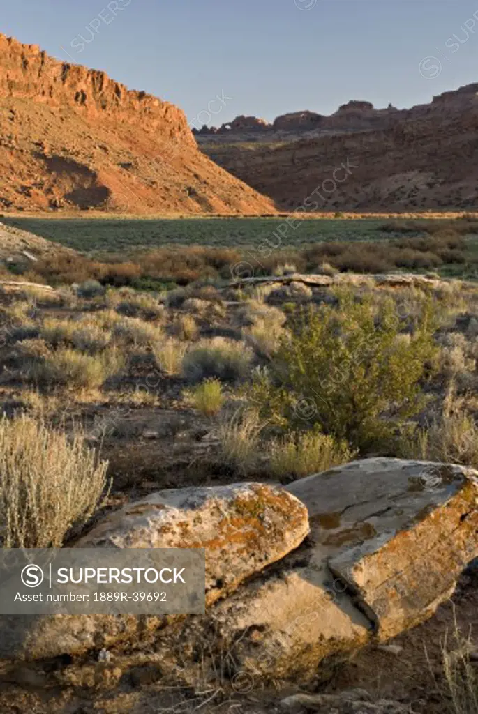 Desert, Moab, Utah, USA
