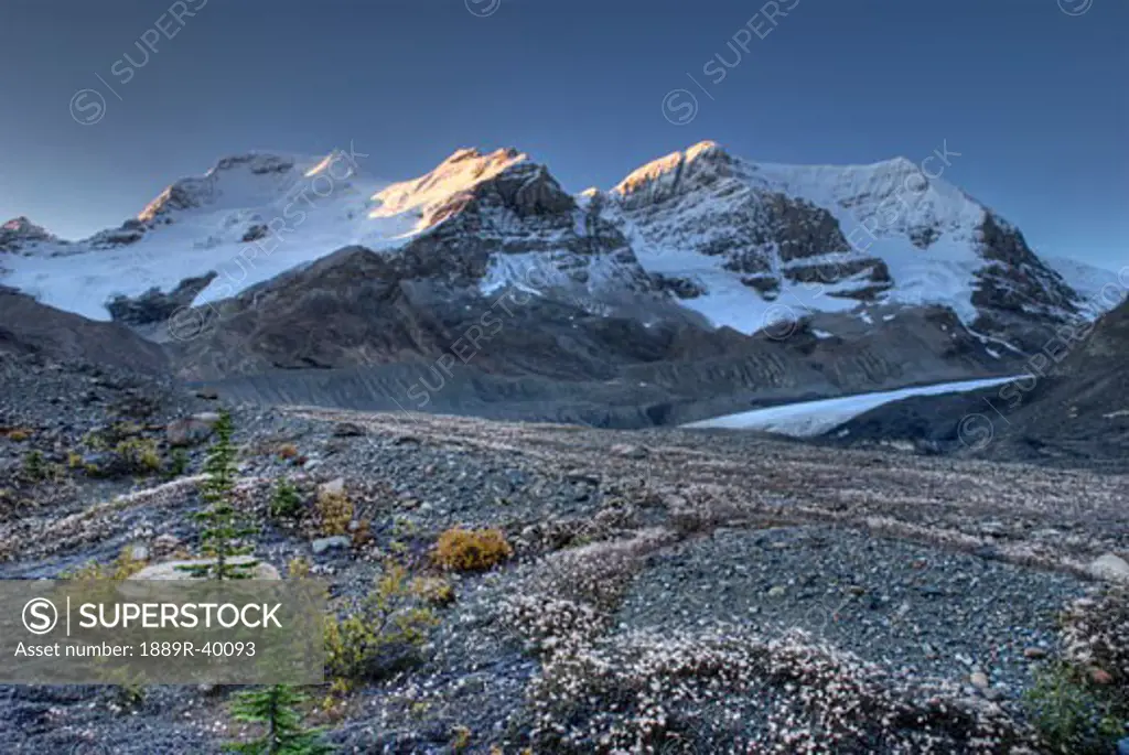 Mount Athabasca, Mount Andromeda, Columbia Icefield, Jasper National Park, Canada  