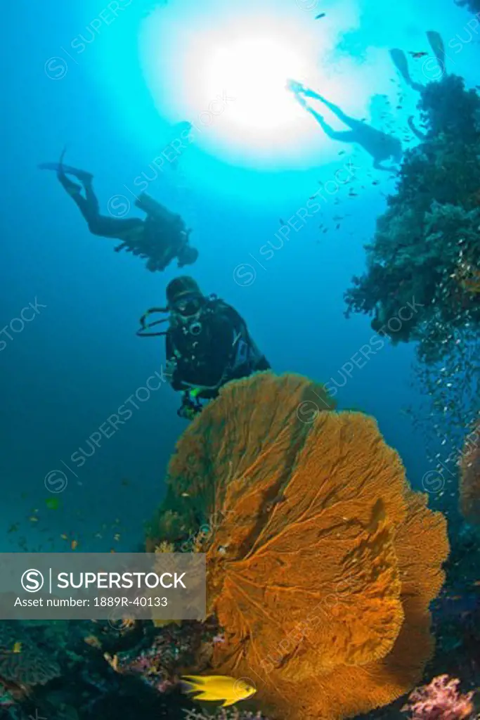 Similan Islands Underwater Park, Thailand, Asia