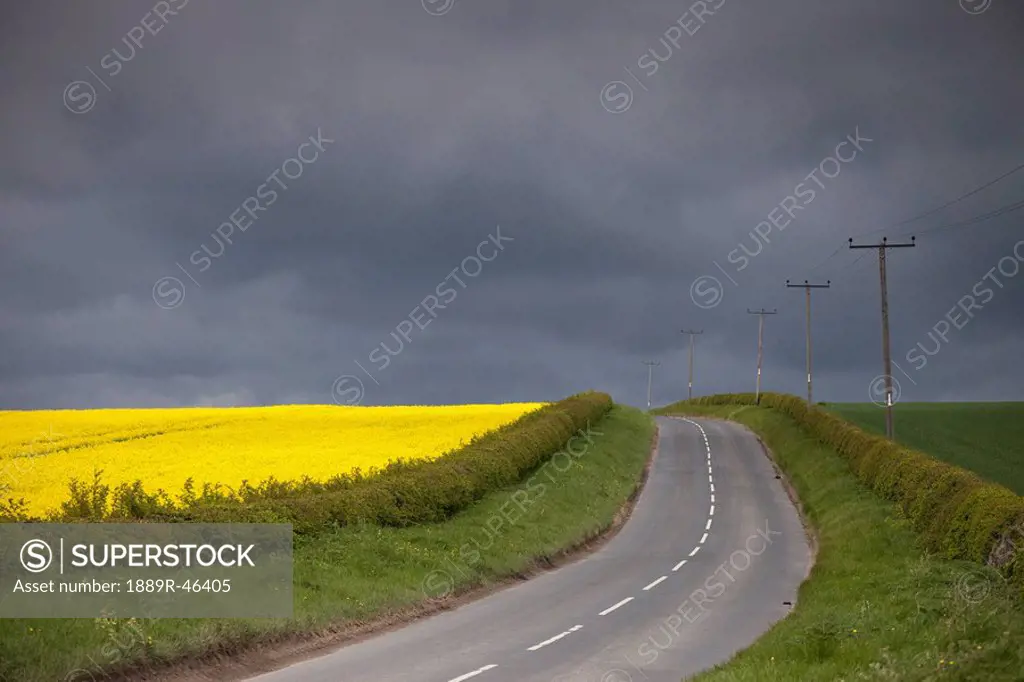 Rural road, North Yorkshire, England