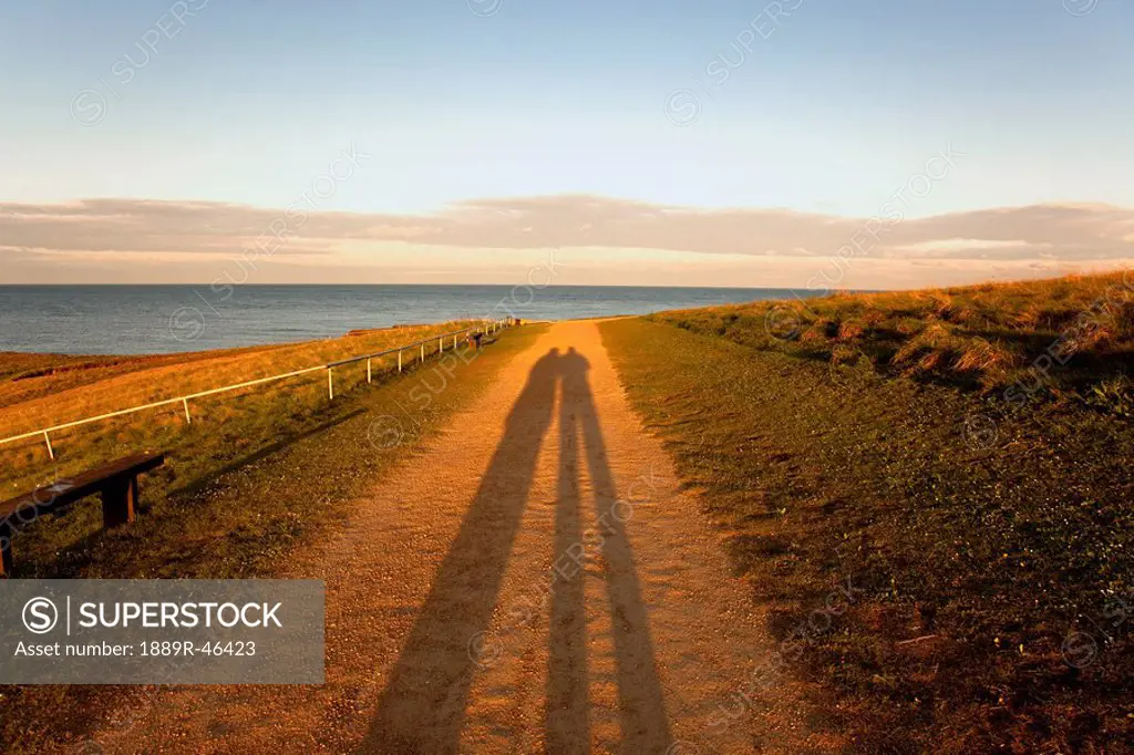 Long shadows on the road, South Shields, Tyne and Wear, England