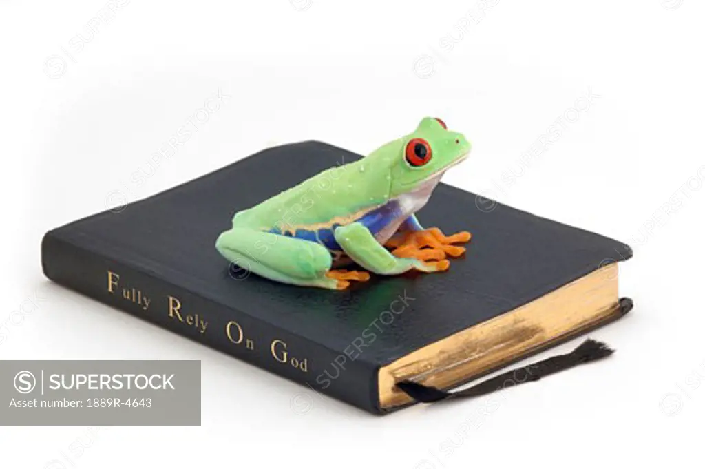 Frog on a Bible