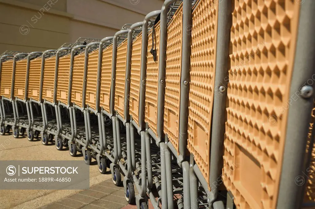 Rows of shopping carts