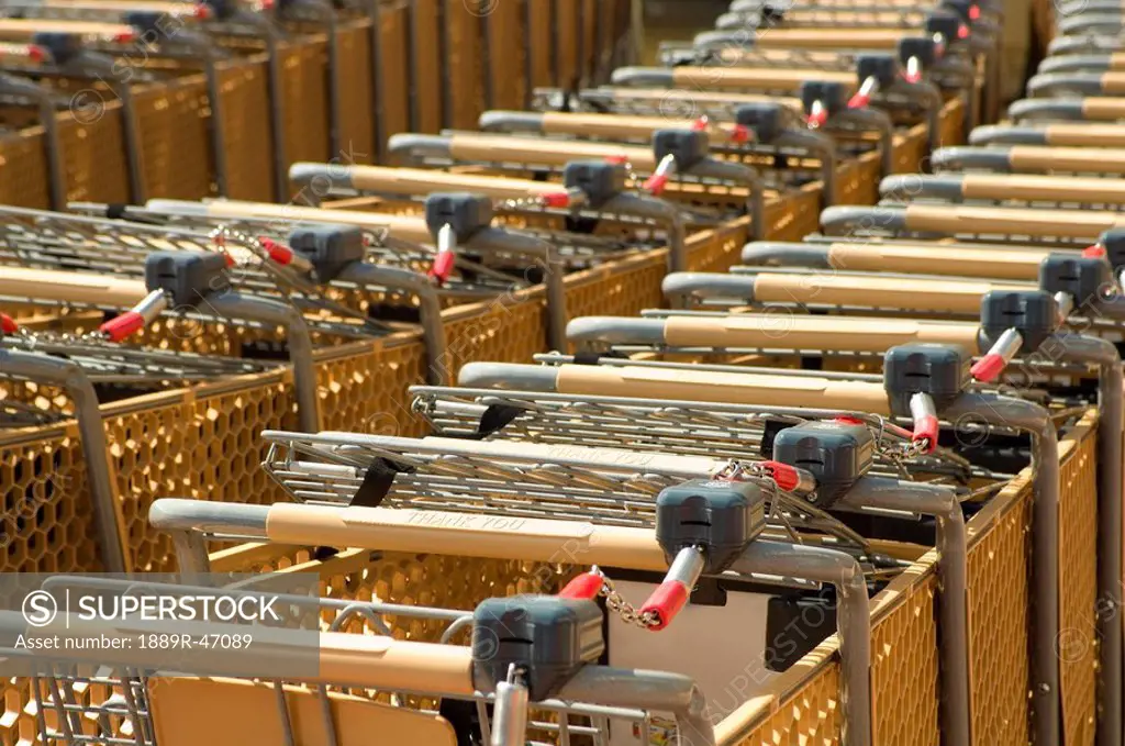 Rows of shopping carts