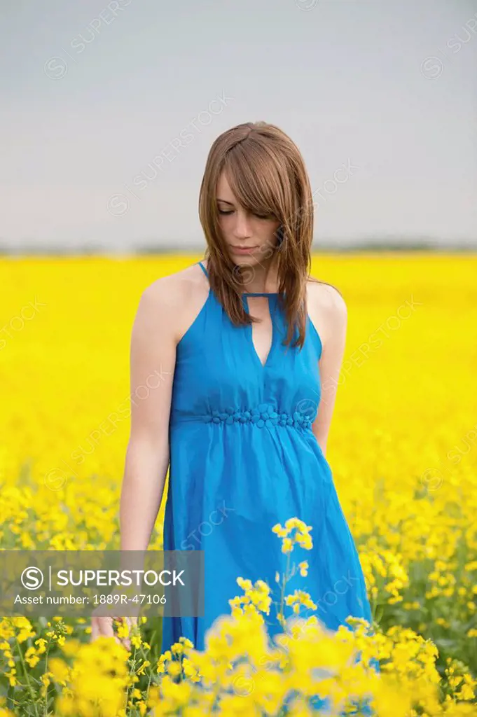 A young girl in a canola field