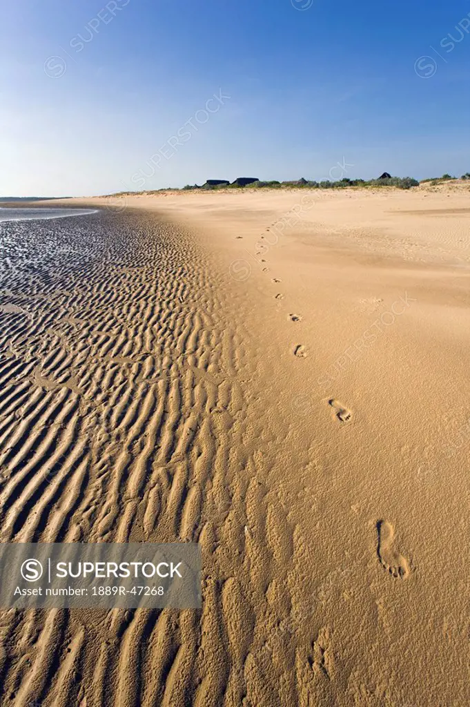Footprints at low tide on the beach at Kizingo, Lamu Island, Kenya