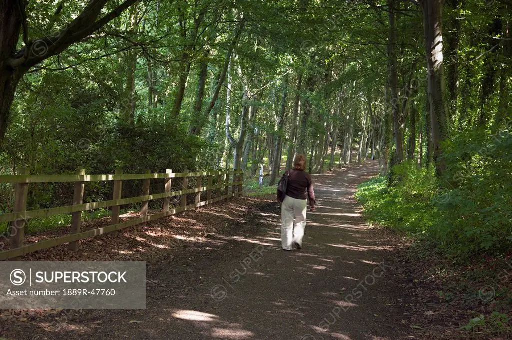 Path through Alnwick Garden, Northumberland, England