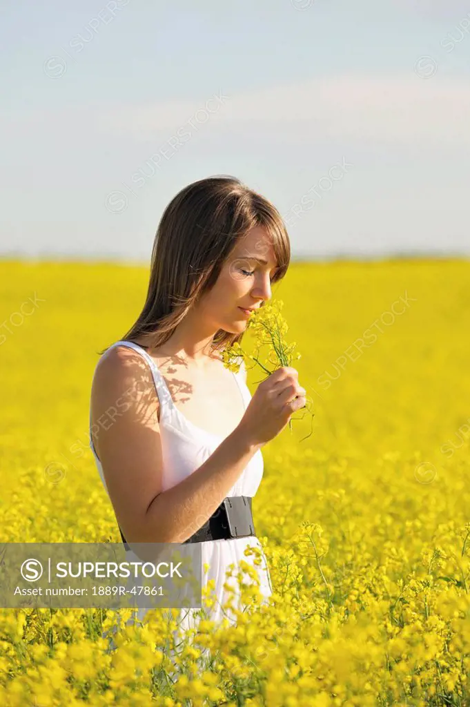 Young woman in a canola field