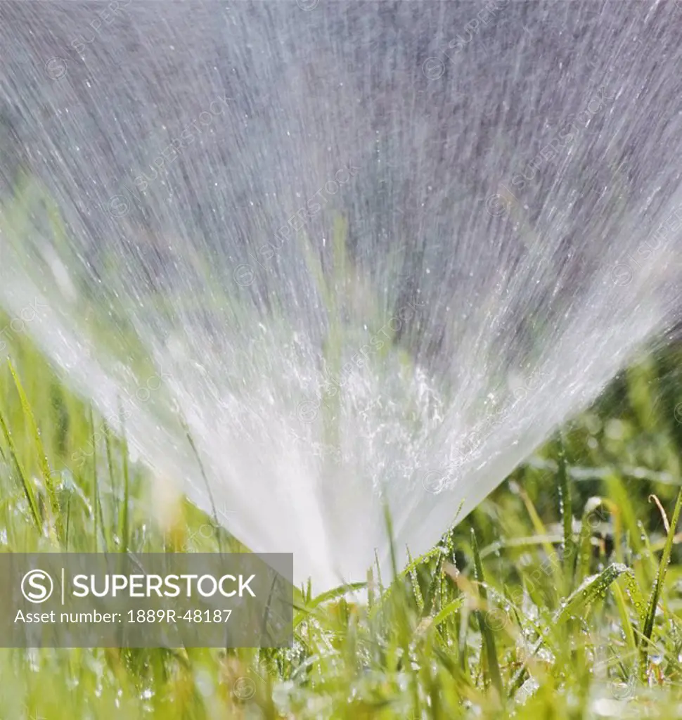 Spray of water from garden sprinkler system