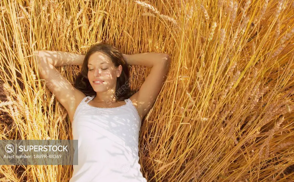 Woman lying in a field of wheat