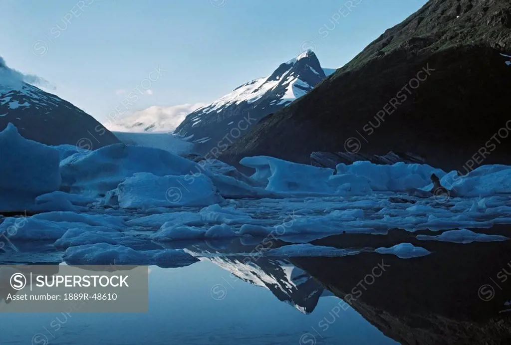 Icebergs, Portage Lake, Portage Glacier, Alaska