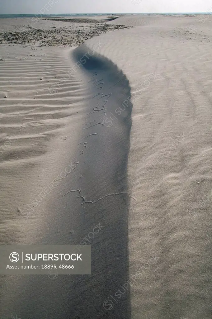 Coastal sand dune on wide beach