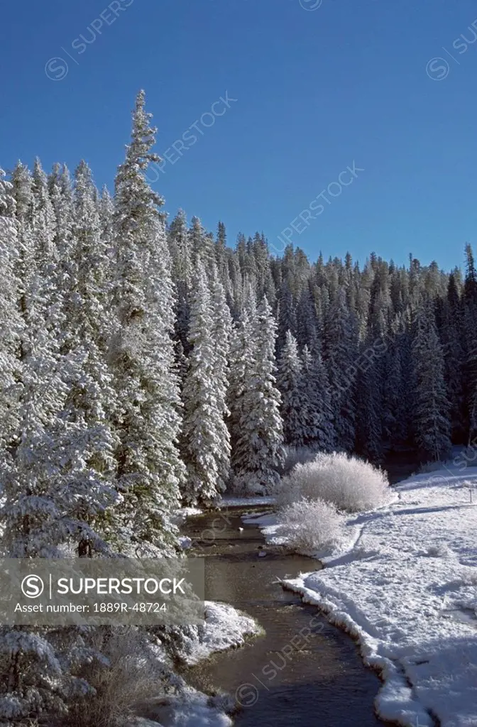 Fresh snow Jemez River, Jemez National Recreation Area, New Mexico, USA