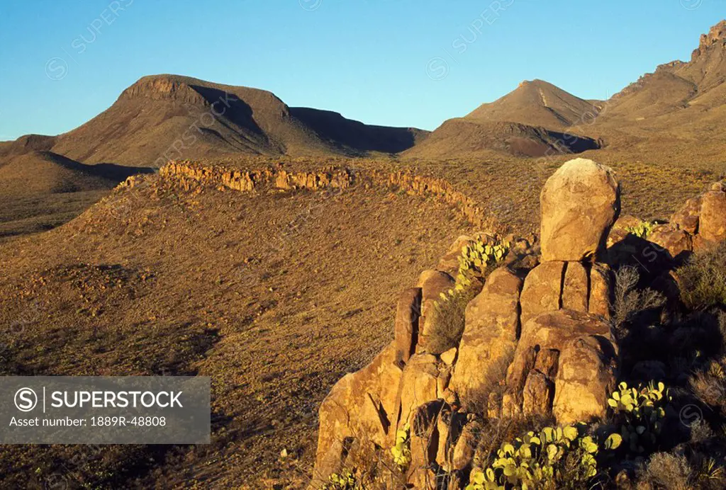 Foothills of the Chisos Mountains, Big Bend National Park, Texas, USA