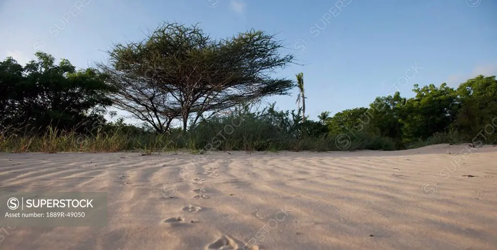 Beach at Manda Bay, Kenya, Africa
