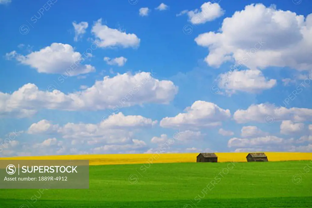 Two farm buildings in vast meadows