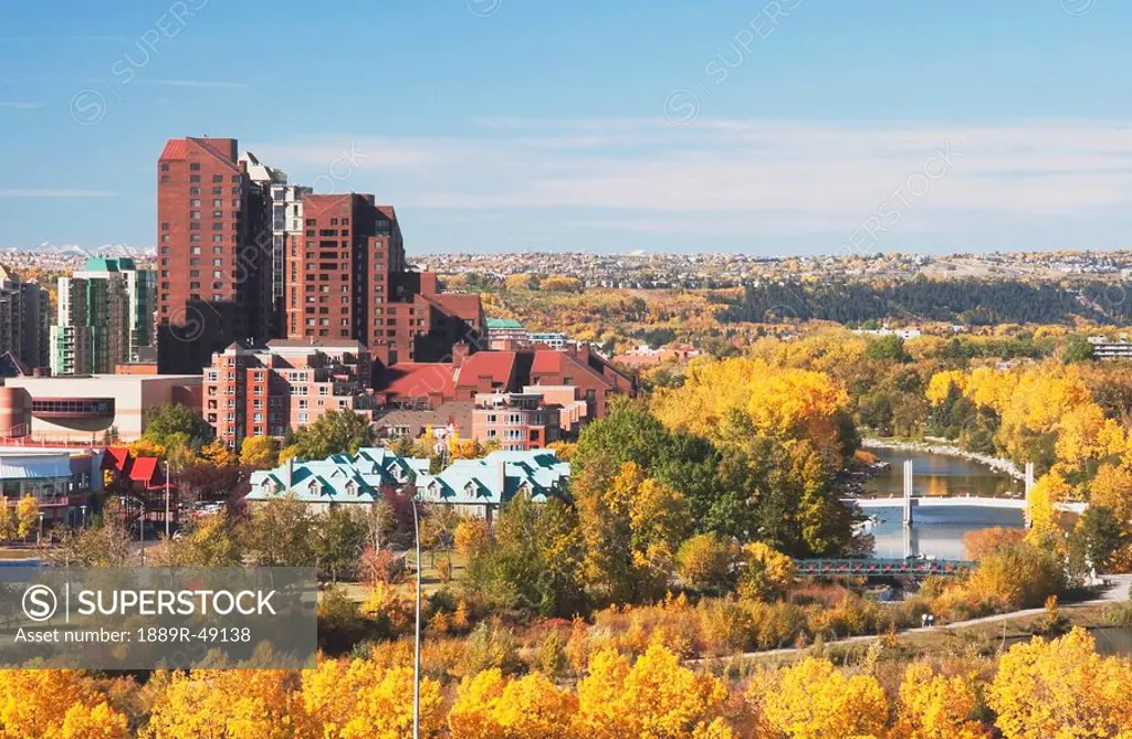 Autumn in Bow River Valley, Calgary, Alberta, Canada
