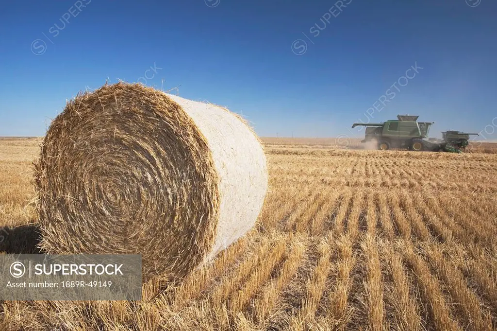 Hay bale and combine in cut field, Alberta, Canada