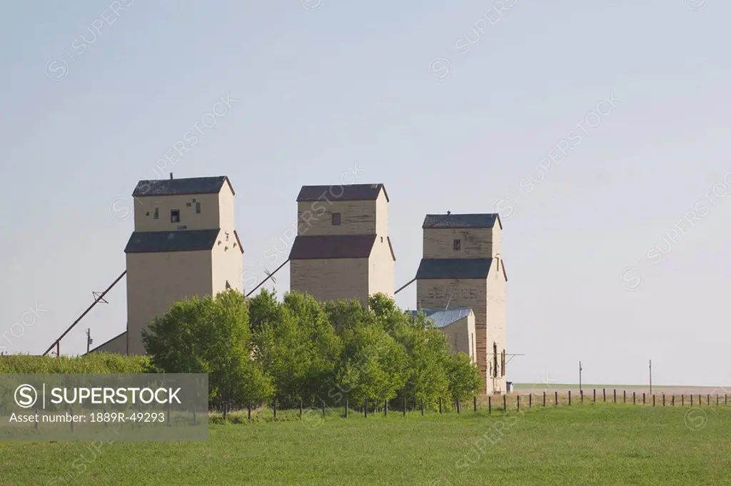 Three grain elevators