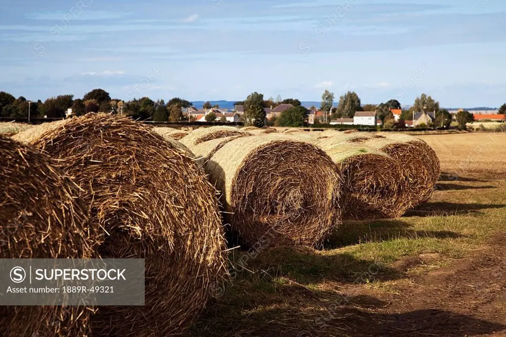 Bales of hay, Northumberland, England
