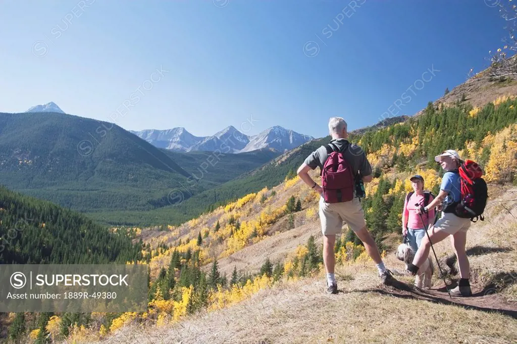 Three hikers on a mountain trail