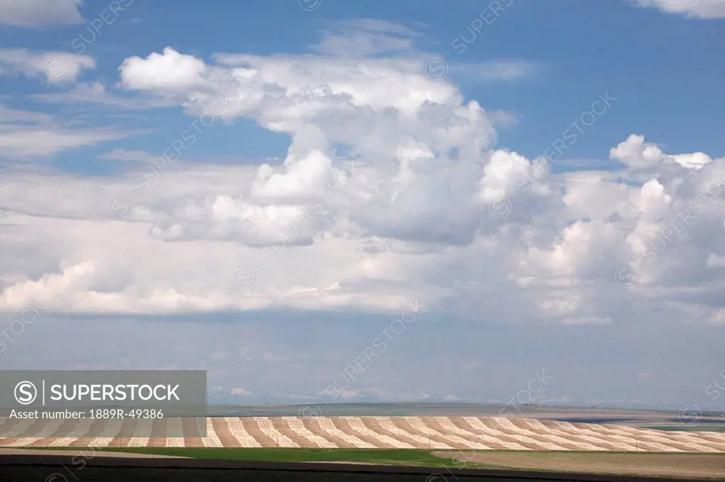 alberta, canada, a cut brown field with storm clouds and mountains
