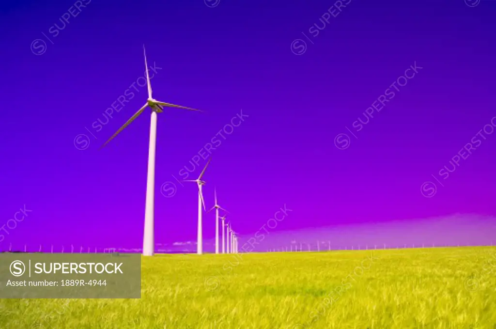 Windmill farm