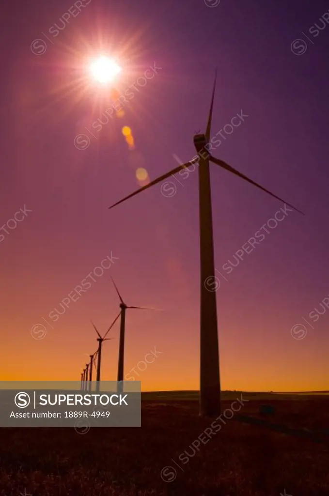 Windmills against a rising sun