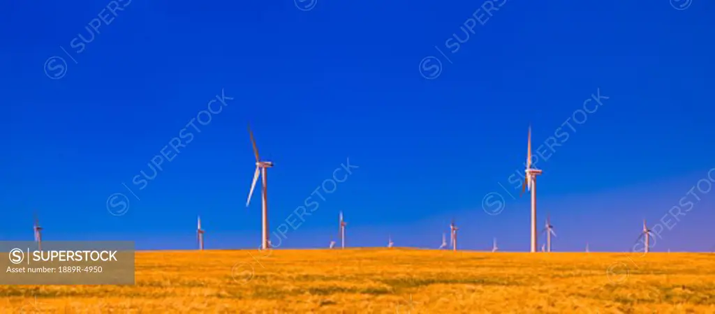 A windmill farm