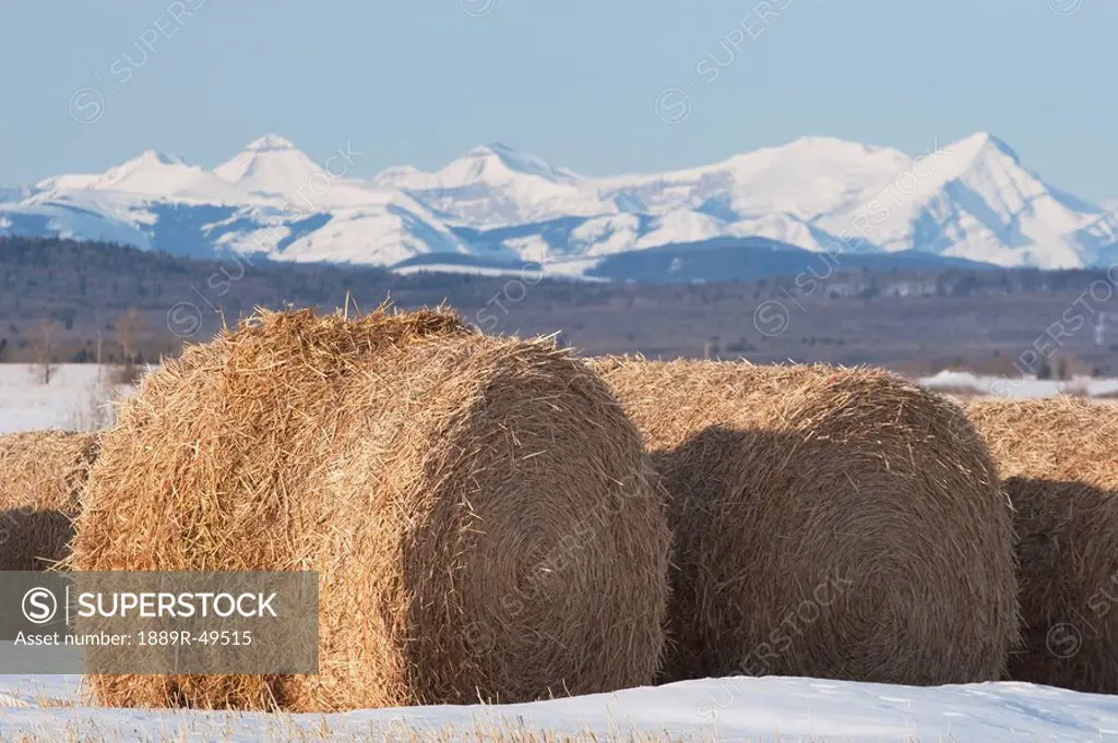 hay bales and mountains, west of calgary, alberta, canada